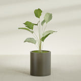 Rio Grande Cylinder fiberglass planter in Matte Bronze, shown planted, in a sunlit interior