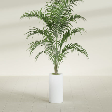 Corry Cylinder fiberglass planter in Matte Bright White, shown planted, in a sunlit interior