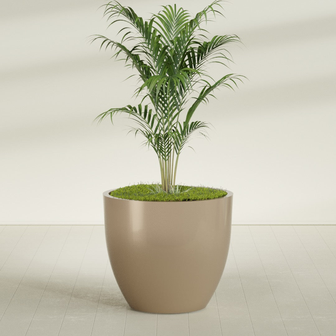 Wannsee Round fiberglass planter in Gloss Metallic Gold, shown planted, in a sunlit interior