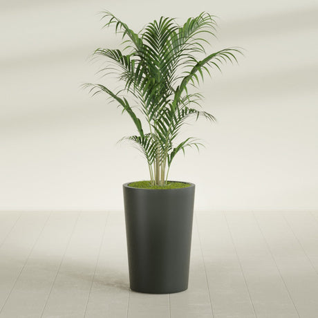 Tegel Round Tapered fiberglass planter in Matte Charcoal, shown planted, in a sunlit interior