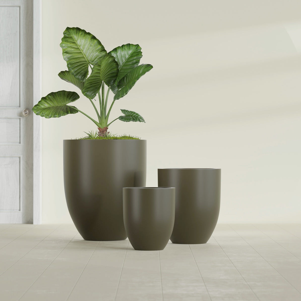 Valencia Tapered Round fiberglass planter in Matte Bronze, size range, in a sunlit interior