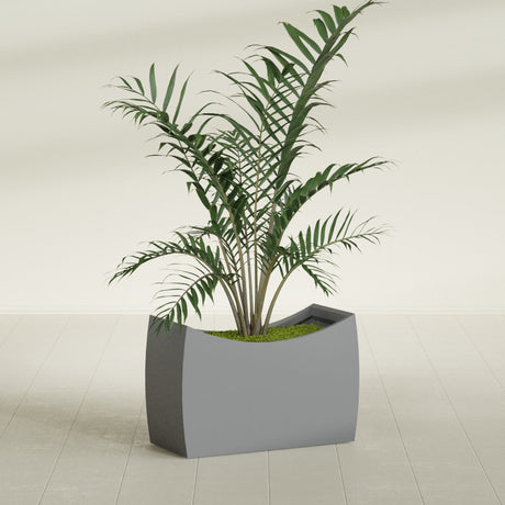Seoul Curved fiberglass planter in Matte Gunmetal, shown planted, in a sunlit interior