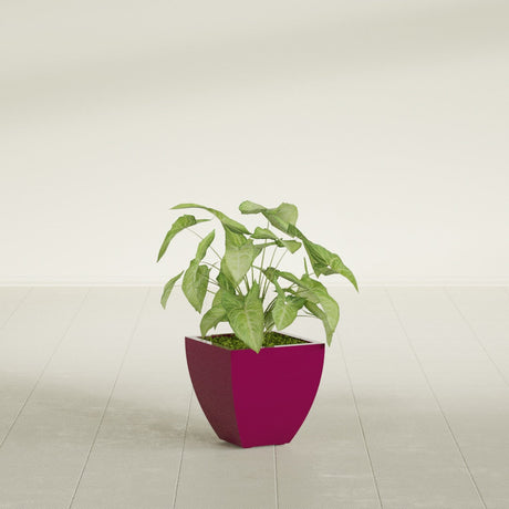 Lima Tapered Square fiberglass planter in Gloss Eggplant, shown planted, in a sunlit interior