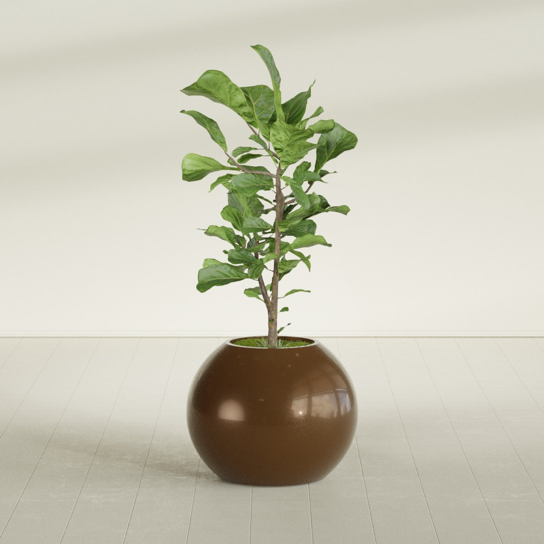 Globe fiberglass planter in Metallic Bronze, shown planted, in a sunlit interior