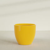 Wannsee Round Planter in Gloss Saffron, 50"D × 44"H, shown empty