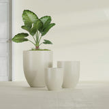 Valencia Tapered Round fiberglass planter in Satin Beige, size range, in a sunlit interior