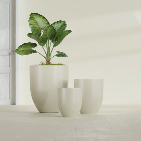 Valencia Tapered Round fiberglass planter in Satin Beige, size range, in a sunlit interior