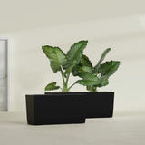 Panama Tapered Rectangular fiberglass planter in Matte Black, shown planted, in a sunlit interior