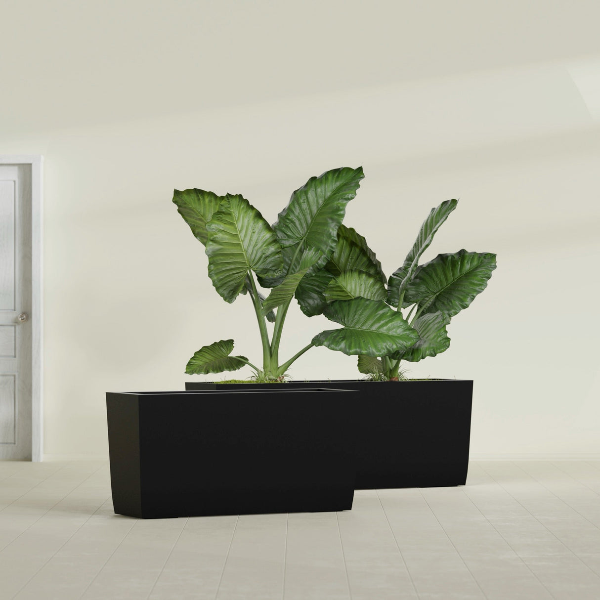 Panama Tapered Rectangular fiberglass planter in Matte Black, shown planted, in a sunlit interior