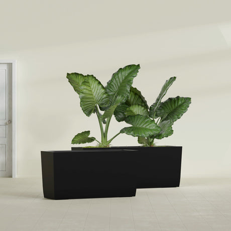 Panama Tapered Rectangular fiberglass planter in Matte Black, shown planted, in a sunlit interior