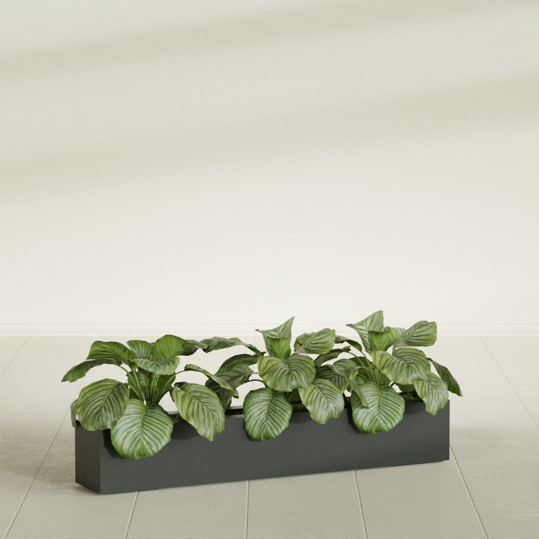 Salon Box fiberglass planter in Matte Charcoal, shown planted, in a sunlit interior