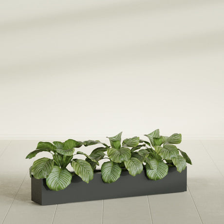 Salon Box fiberglass planter in Matte Charcoal, shown planted, in a sunlit interior