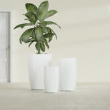 Lisbon Tall Round fiberglass planter in Gloss Bright White, size range, in a sunlit interior