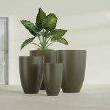 Brannan Tapered Round fiberglass planter in Matte Bronze, size range, in a sunlit interior