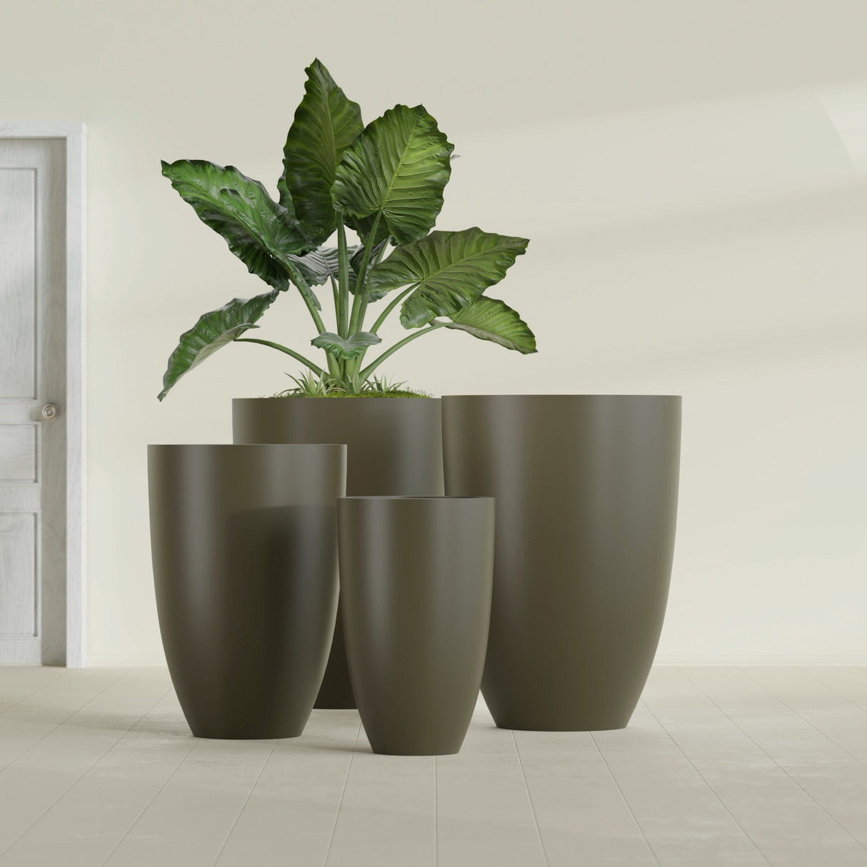 Brannan Tapered Round fiberglass planter in Matte Bronze, size range, in a sunlit interior