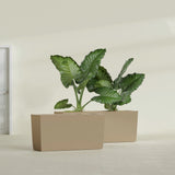 Panama Tapered Rectangular fiberglass planter in Gloss Metallic Gold, shown planted, in a sunlit interior