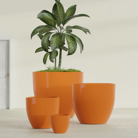 Wannsee Round fiberglass planter in Gloss Tangerine, size range, in a sunlit interior