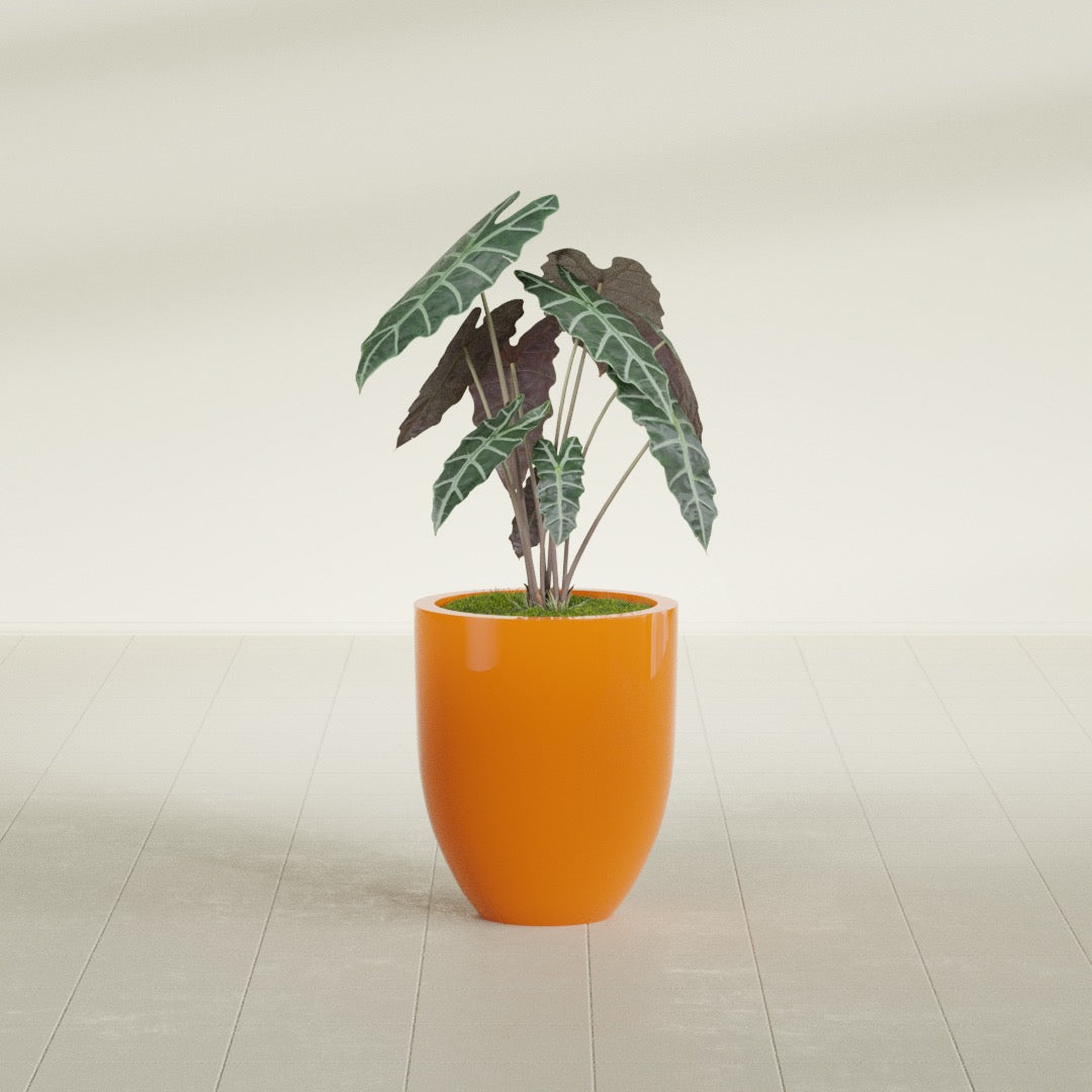 Valencia Tapered Round fiberglass planter in Gloss Tangerine, shown planted, in a sunlit interior