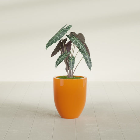 Valencia Tapered Round fiberglass planter in Gloss Tangerine, shown planted, in a sunlit interior
