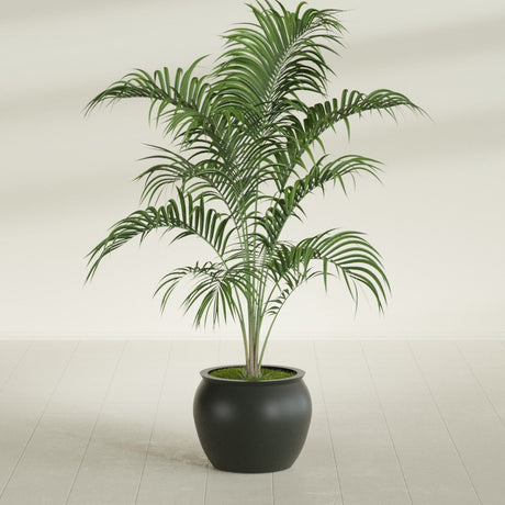 Shanghai Fishbowl fiberglass planter in Matte Charcoal, shown planted, in a sunlit interior