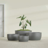 Casablanca Bowl fiberglass planter in Matte Gunmetal, size range, in a sunlit interior