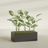 Torino Wide Rectangular fiberglass planter in Matte Dark Brown, shown planted, in a sunlit interior