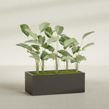Torino Wide Rectangular fiberglass planter in Matte Dark Brown, shown planted, in a sunlit interior