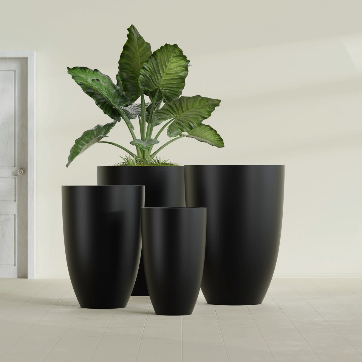 Brannan Tapered Round fiberglass planter in Matte Black, size range, in a sunlit interior