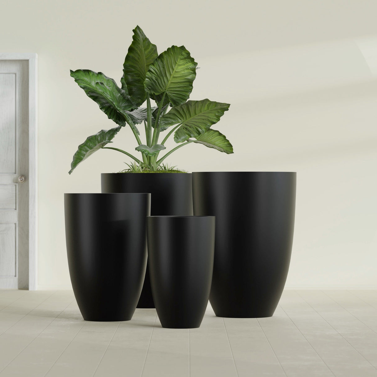 Brannan Tapered Round fiberglass planter in Matte Black, size range, in a sunlit interior