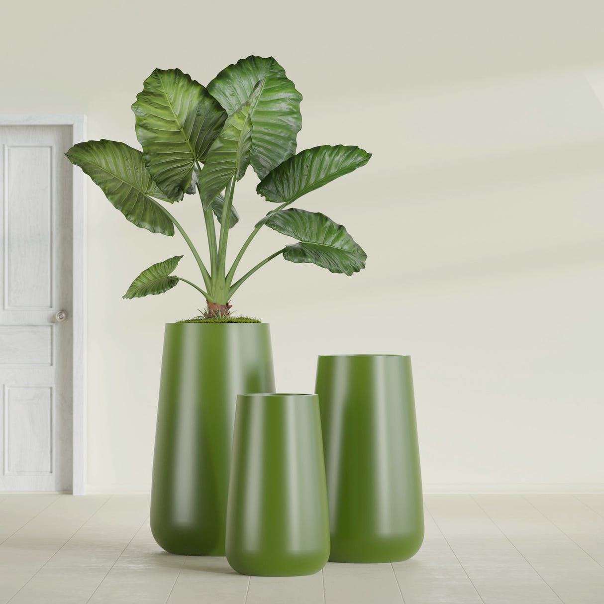 Saigon Tapered Round fiberglass planter in Satin Green, size range, in a sunlit interior
