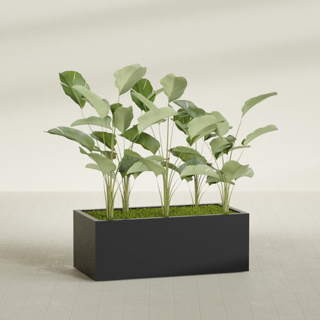 Torino Corner fiberglass planter in Matte Black, shown planted, in a sunlit interior