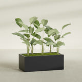 Torino Wide Rectangular fiberglass planter in Matte Black, shown planted, in a sunlit interior