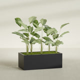 Torino Wide Rectangular fiberglass planter in Matte Black, shown planted, in a sunlit interior
