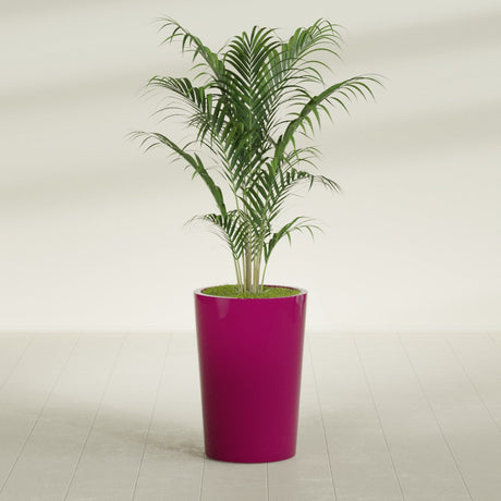 Tegel Round Tapered fiberglass planter in Gloss Eggplant, shown planted, in a sunlit interior
