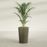 Tegel Round Tapered fiberglass planter in Matte Bronze, shown planted, in a sunlit interior