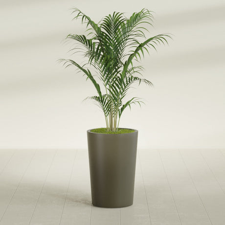 Tegel Round Tapered fiberglass planter in Matte Bronze, shown planted, in a sunlit interior