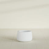 Short Hayden Bowl Planter in Gloss Bright White, 12"D × 7"H, shown empty