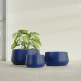 Short Hayden Bowl fiberglass planter in Matte Cobalt Blue, size range, in a sunlit interior