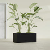 Badalona Rectangular fiberglass planter in Matte Black, shown planted, in a sunlit interior