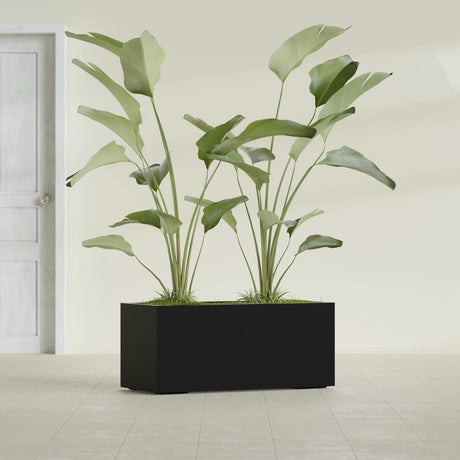 Badalona Rectangular fiberglass planter in Matte Black, shown planted, in a sunlit interior