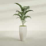 San Jose Tall Fluted fiberglass planter in Satin Beige, shown planted, in a sunlit interior