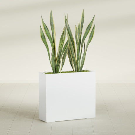 Perth Rectangular fiberglass planter in Matte Bright White, planted, in a sunlit interior