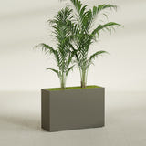 Potsdam Rectangular fiberglass planter in Matte Bronze, shown planted, in a sunlit interior