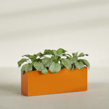 Miami Narrow fiberglass planter in Gloss Tangerine, planted, in a sunlit interior