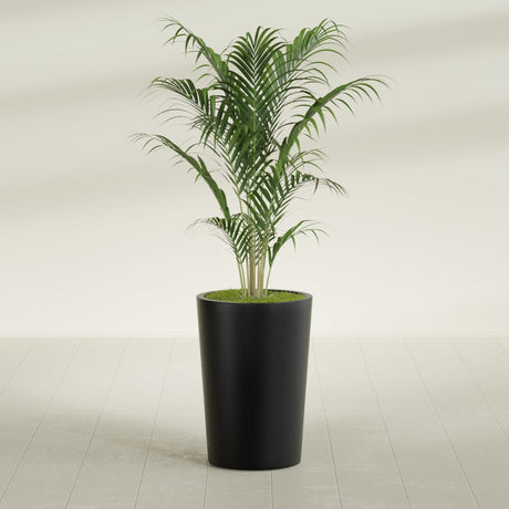 Tegel Round Tapered fiberglass planter in Matte Black, shown planted, in a sunlit interior