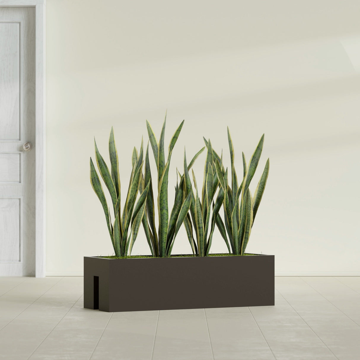 Tiergarden Railing fiberglass planter in Matte Dark Brown, shown planted, in a sunlit interior