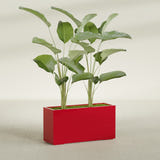 Tolga Rectangular fiberglass planter in Gloss Red, shown planted, in a sunlit interior