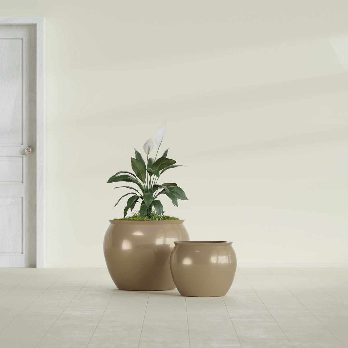 Shanghai Fishbowl fiberglass planter in Gloss Metallic Gold, size range, in a sunlit interior