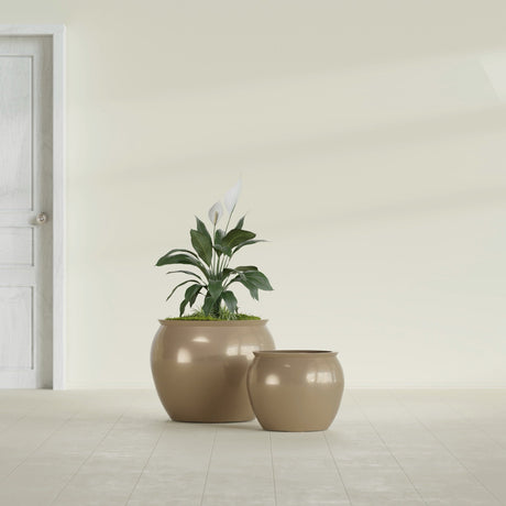 Shanghai Fishbowl fiberglass planter in Gloss Metallic Gold, size range, in a sunlit interior