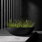 Cavo low bowl Cosapots fiberglass planter, shown planted with ornamental grasses in a styled setting.